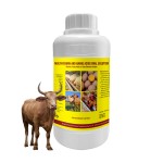 Livestock Multivitamin Supplier - OEM Cattle Sheep Goat Oral Solution