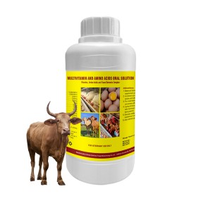 Livestock Multivitamin Supplier - OEM Cattle Sheep Goat Oral Solution