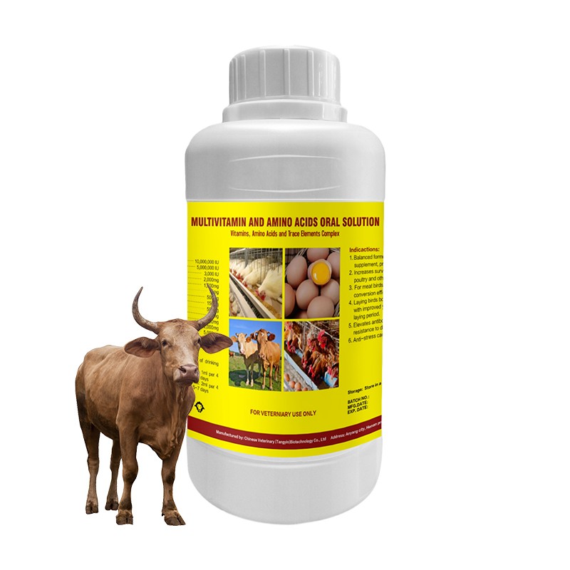 Livestock Multivitamin Supplier - OEM Cattle Sheep Goat Oral Solution