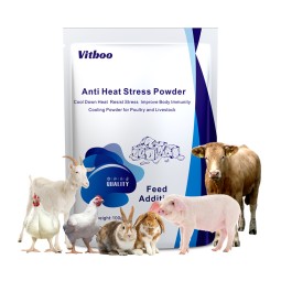 Animal Heat Stress Powder Factory - Poultry Cow Feed Egg Booster