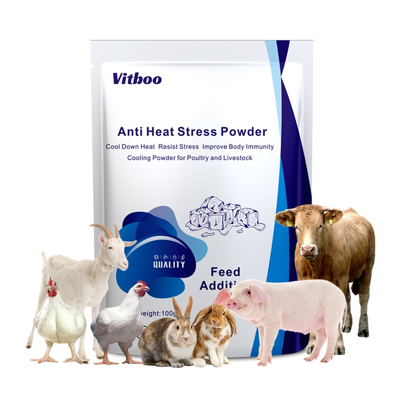 动物热应激粉厂家-禽牛饲料产蛋促进剂