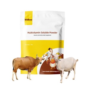 动物复合维生素粉厂家-优质免疫健康补充剂