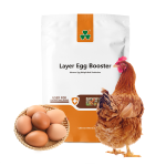 饲料制粒机生产商-禽类颗粒制作设备