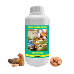 Multivitamin Immunity Booster Supplier - Animal Resistance Enhancer