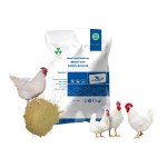 维生素AD3E溶液生产商-禽类促进口服补充剂