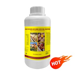 Rabbit Vitamin Supplement Factory - OEM & ODM Multivitamin Oral Liquid