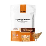 Poultry Vitamin Premix Supplier - Broiler Weight Gain Growth Booster