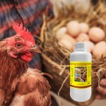 维生素AD3E口服液生产商-禽类健康补充剂