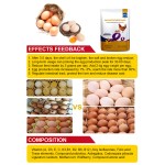 鸡生长促进剂厂家-1kg配500kg饲料维生素补充剂