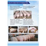 Animal Vitamin Premix Manufacturer - Feed Grade Trace Elements for Sows