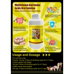 Chicken Weight Gain Booster Supplier - Multi Vitamin Growth Supplement
