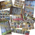 Chicken Weight Gain Booster Supplier - Multi Vitamin Growth Supplement