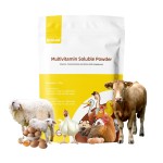 鸡抗应激添加剂厂家-禽用复合维生素粉