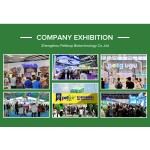 Goat Milk Powder Puppy Replacer Manufacturer - Wholesale High Protein Supplement