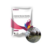 Pig Premix Feed Factory - 4% Fattening Vitamin Supplement for Swine