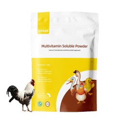 Poultry Vitamin Premix Supplier - Broiler Weight Gain Growth Booster