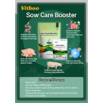 母猪护理添加剂供应商-猪健康仔猪生长促进剂