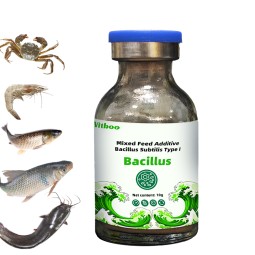 Aquatic Probiotics Powder Factory - Bacillus Subtilis Water Fertility