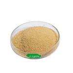 L-Lysine Feed Additive Supplier - Sulphate 70% HCL 99% Poultry Grade