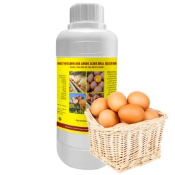 Multivitamin Oral Liquid Supplier - AD3E for Poultry and Livestock