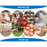 动物热应激粉厂家-禽牛饲料产蛋促进剂