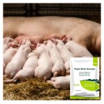 Pig Premix Feed Factory - 4% Fattening Vitamin Supplement for Swine