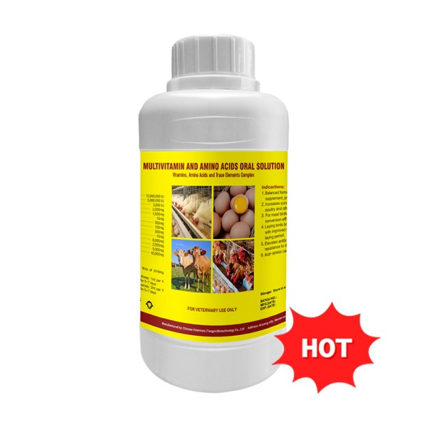 Broiler Vitamin Supplement Manufacturer - Weight Gain Powder for Chicken