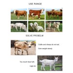 Meat and Bone Meal Supplier - 50% Protein Feed Grade for Animals