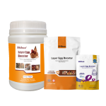 鸡维生素促进剂厂家-禽用矿物粉补充剂