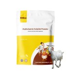 禽类生长增强剂供应商-维生素矿物预混料产蛋促进剂