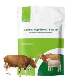 Dairy Cow Premix Manufacturer - Vitamin Mineral Supplement for Cattle