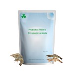 Meat and Bone Meal Supplier - 50% Protein Feed Grade for Animals