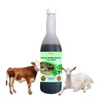 复合维生素免疫促进剂供应商-动物抵抗力增强剂