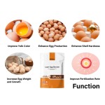 鸡维生素促进剂厂家-禽用矿物粉补充剂