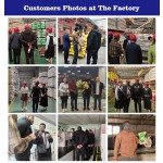 水产益生菌粉厂家-枯草芽孢杆菌水质改良剂