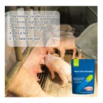 Pig Premix Feed Factory - 4% Fattening Vitamin Supplement for Swine