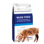 Piglet Premix Feed Manufacturer - 4% Milk Replacer for Newborn Pigs