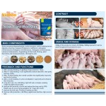 Piglet Premix Feed Manufacturer - 4% Milk Replacer for Newborn Pigs