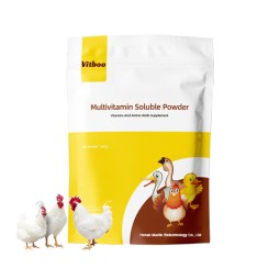 Poultry Growth Enhancer Supplier - Vitamin Mineral Premix Egg Stimulator