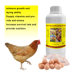 复合维生素AD3E口服液厂家-牲畜维生素预混料