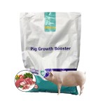 Pig Feed Supplement Manufacturer - High Efficiency Growth Accelerating Agent