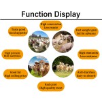 Livestock Growth Feed Manufacturer - 30-60kg Pig Growth Booster Additive