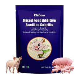 Pig Growth Booster Feed Factory - Disease Prevention Feed Additive