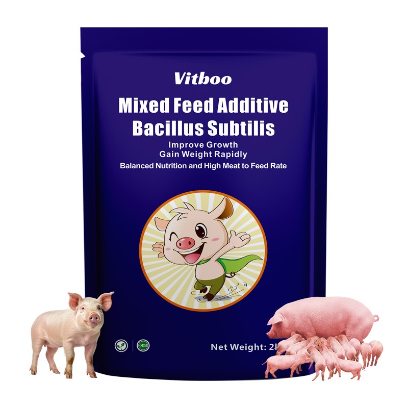 Pig Growth Booster Feed Factory - Disease Prevention Feed Additive