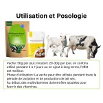 牛催乳剂供应商-维生素矿物山羊奶增强剂