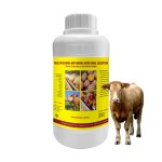 奶牛维生素供应商-增重糖浆水溶性预混料