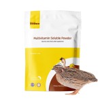 抗热应激粉厂家-禽类预混料饲料添加剂