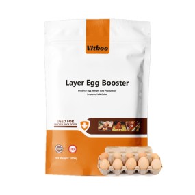 Layer Egg Booster Factory - OEM Vitamin Premix Probiotics Complex