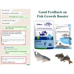 Fish Multivitamin Booster Factory - 4% Premix for Fast Growing Catfish