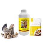 禽类维生素液供应商-热销ADECK口服液